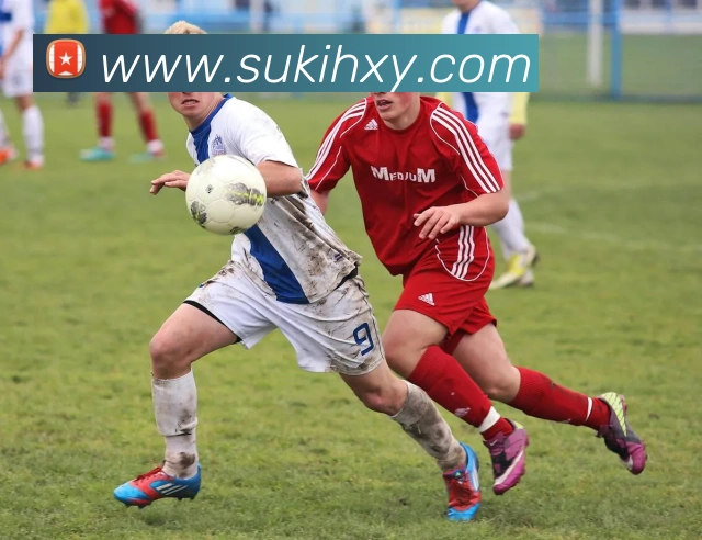 APP界面展示